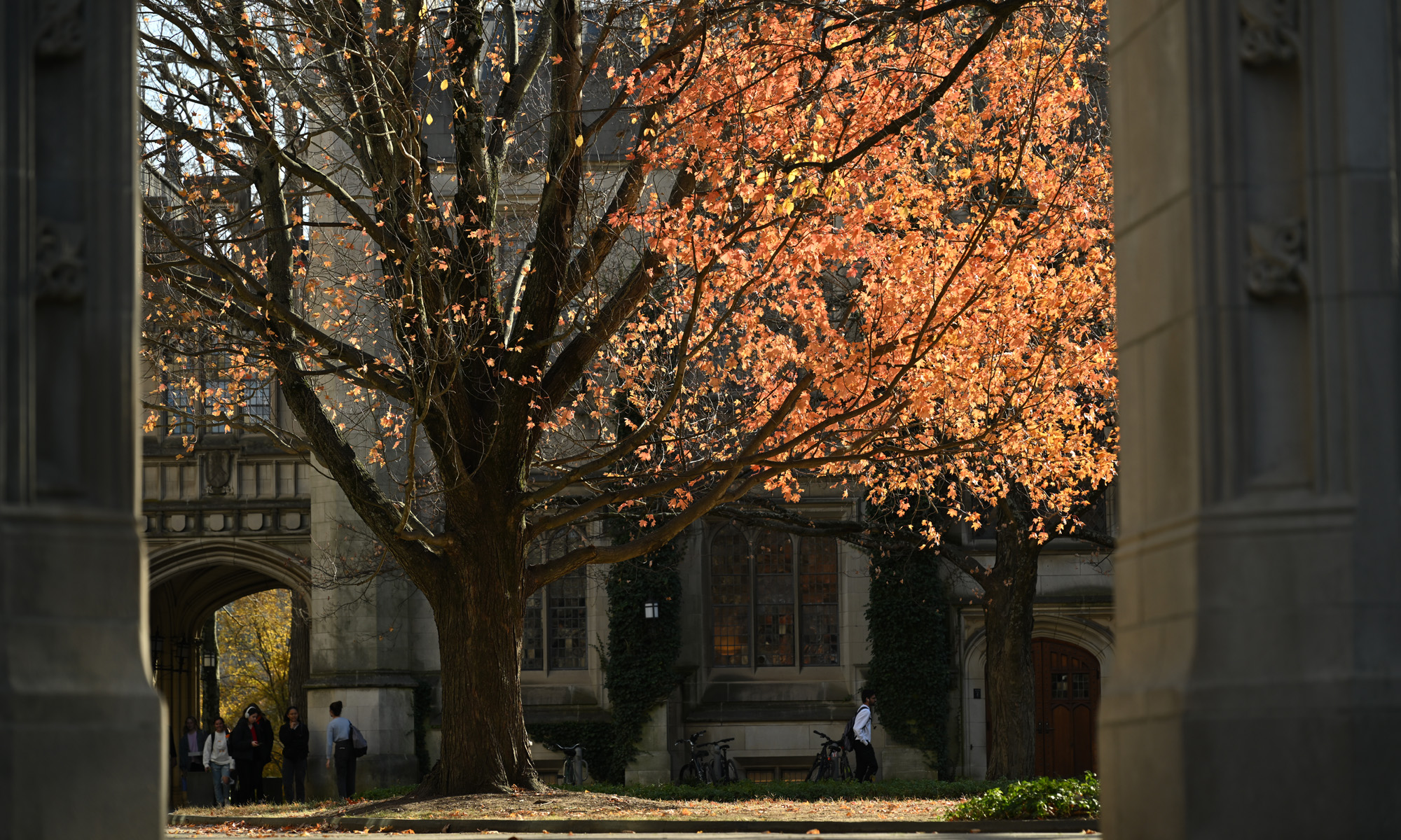 Students walk under an archway and past a stone building and an oak.