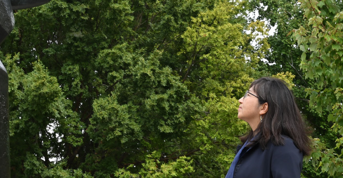 Woman staring at a statue, trees in the background. 